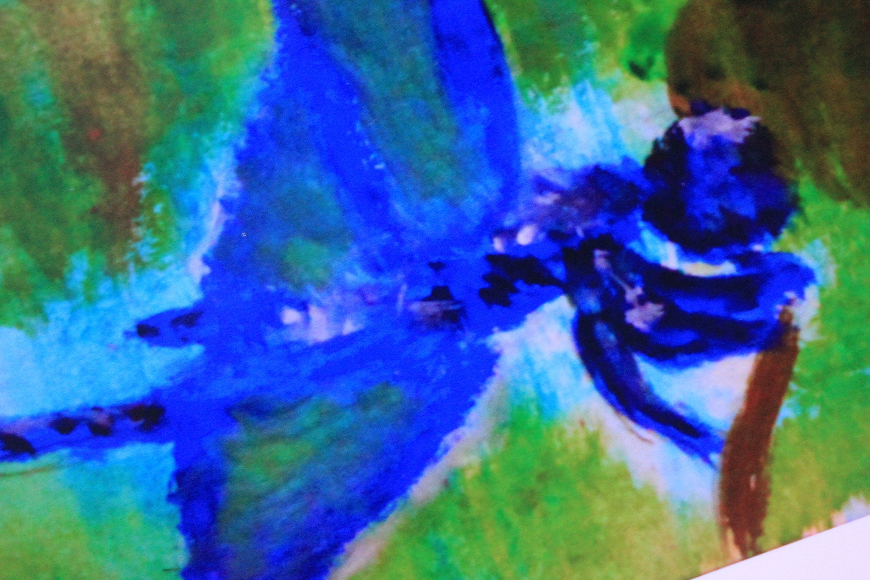 Dragonfly river fine art print - water color print- glossy photo paper