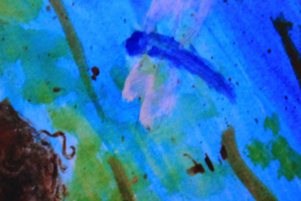 Dragonfly river fine art print - water color print- glossy photo paper