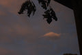 Lonley Cloud
