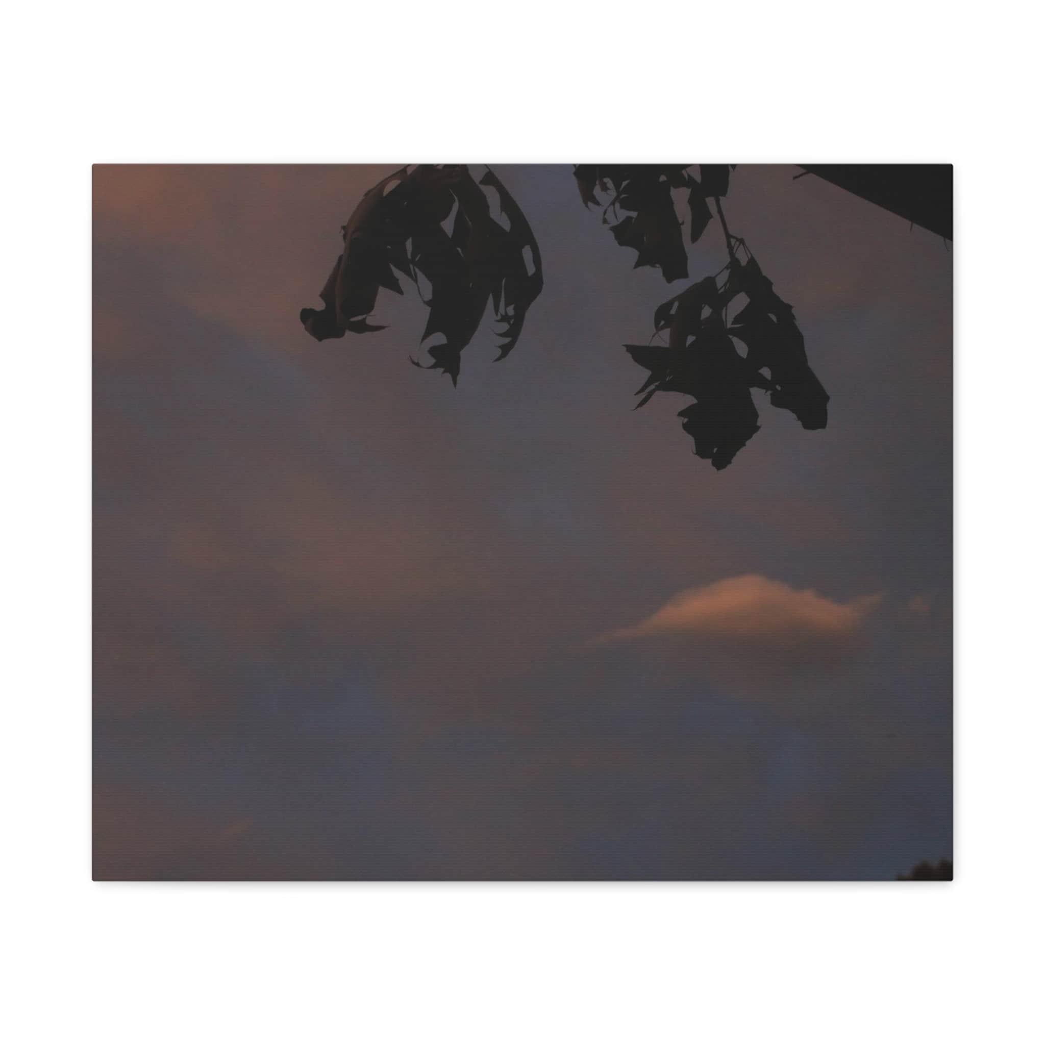 Lonely Cloud Canvas Gallery Wraps