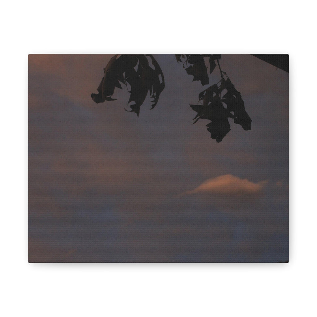 Lonely Cloud Canvas Gallery Wraps
