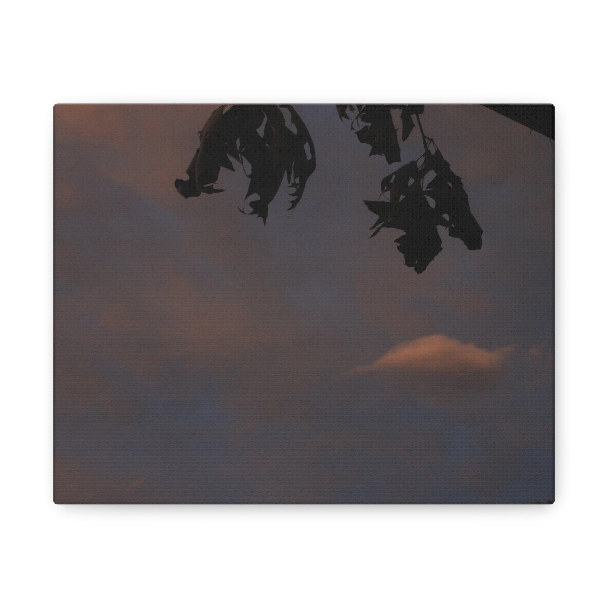 Lonely Cloud Canvas Gallery Wraps
