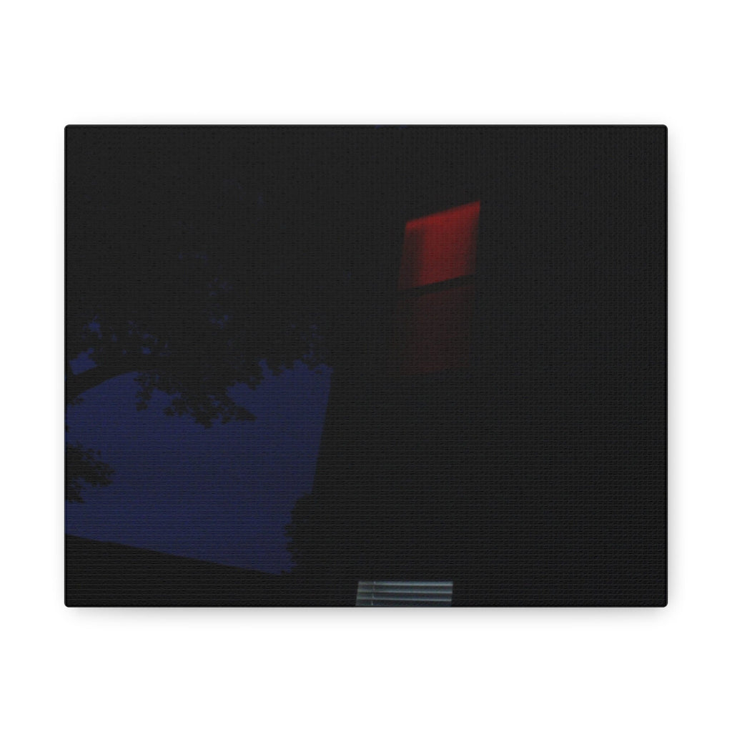 Velvet Window On Canvas