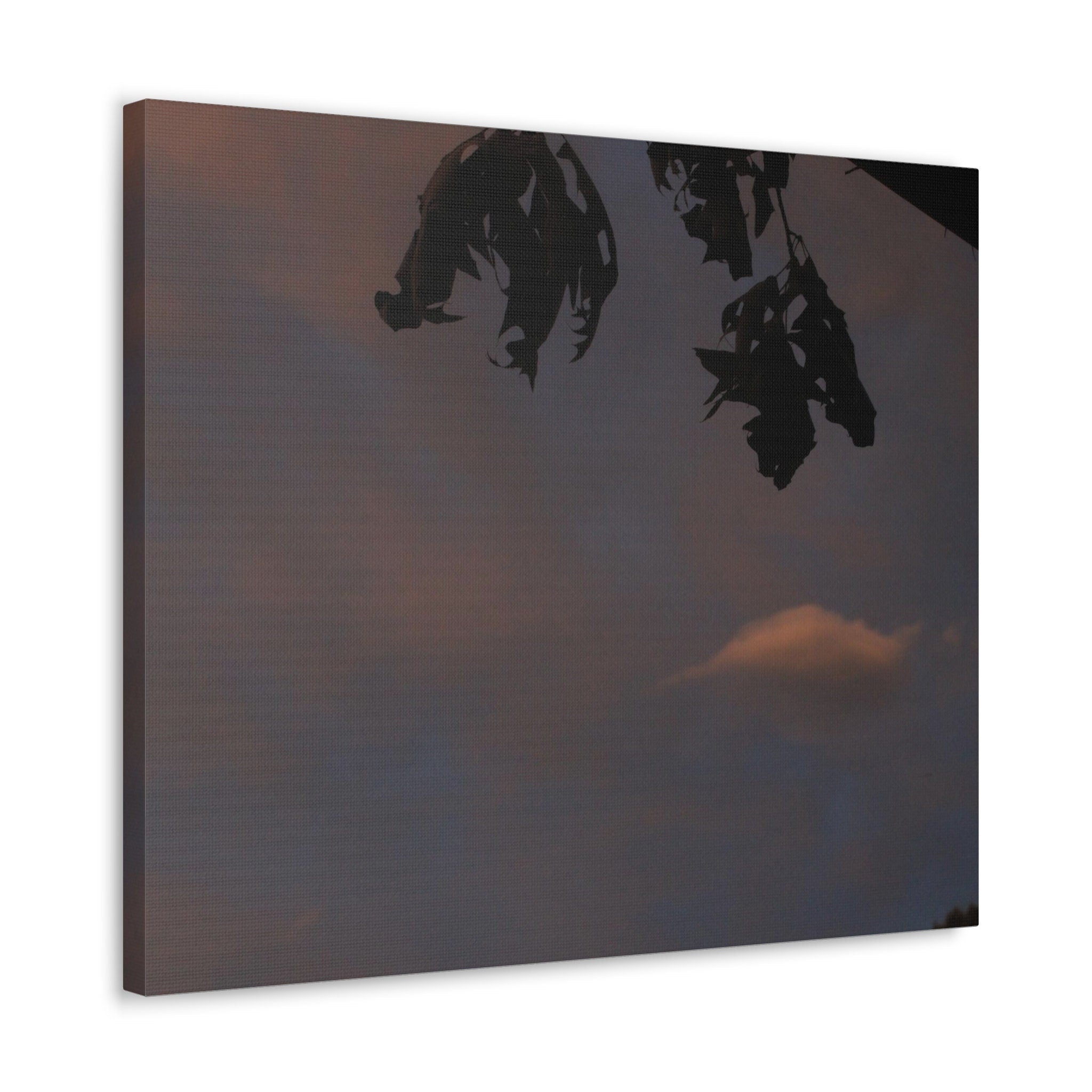 Lonely Cloud Canvas Gallery Wraps