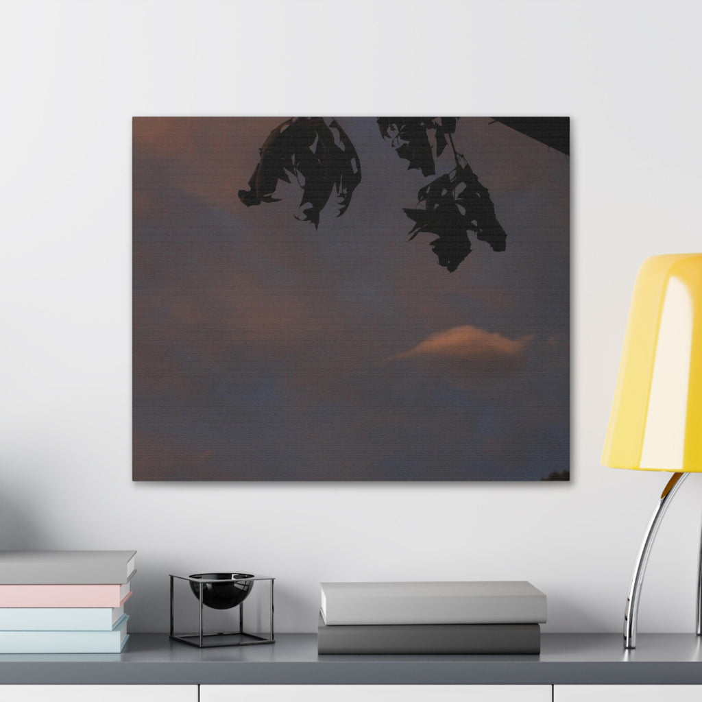 Lonely Cloud Canvas Gallery Wraps